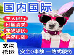 常德桃花源航空邮寄国际宠物托运 【国